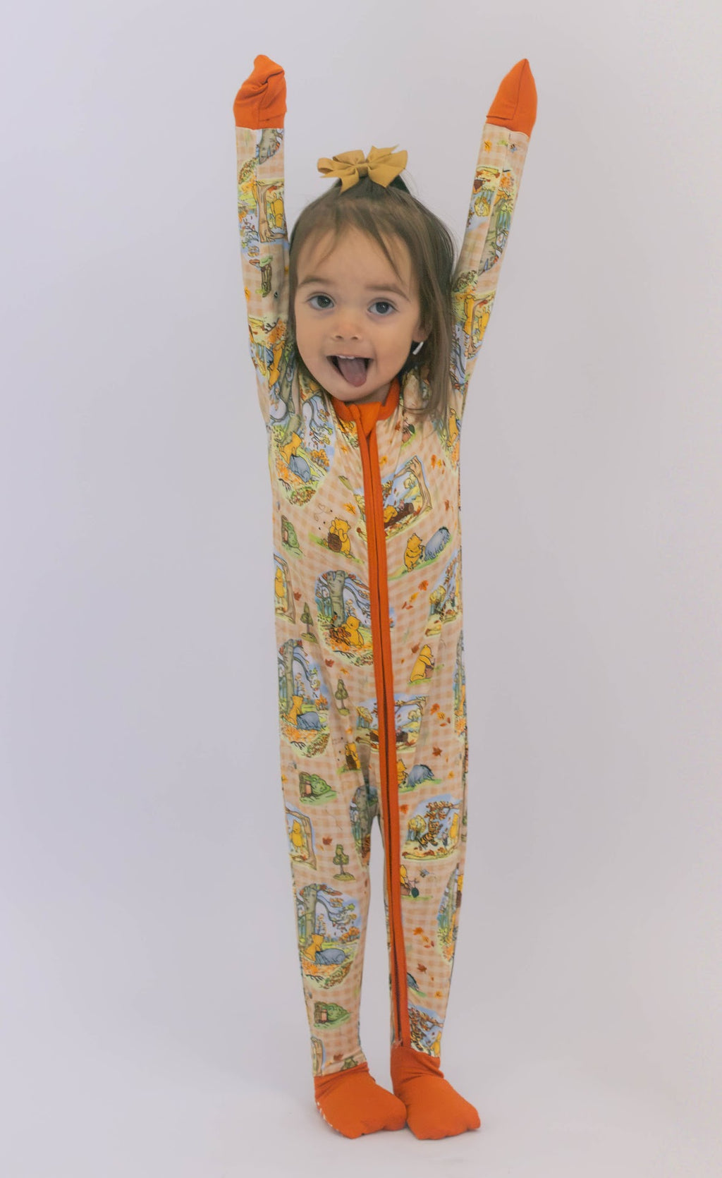 Fall Pooh Zippy