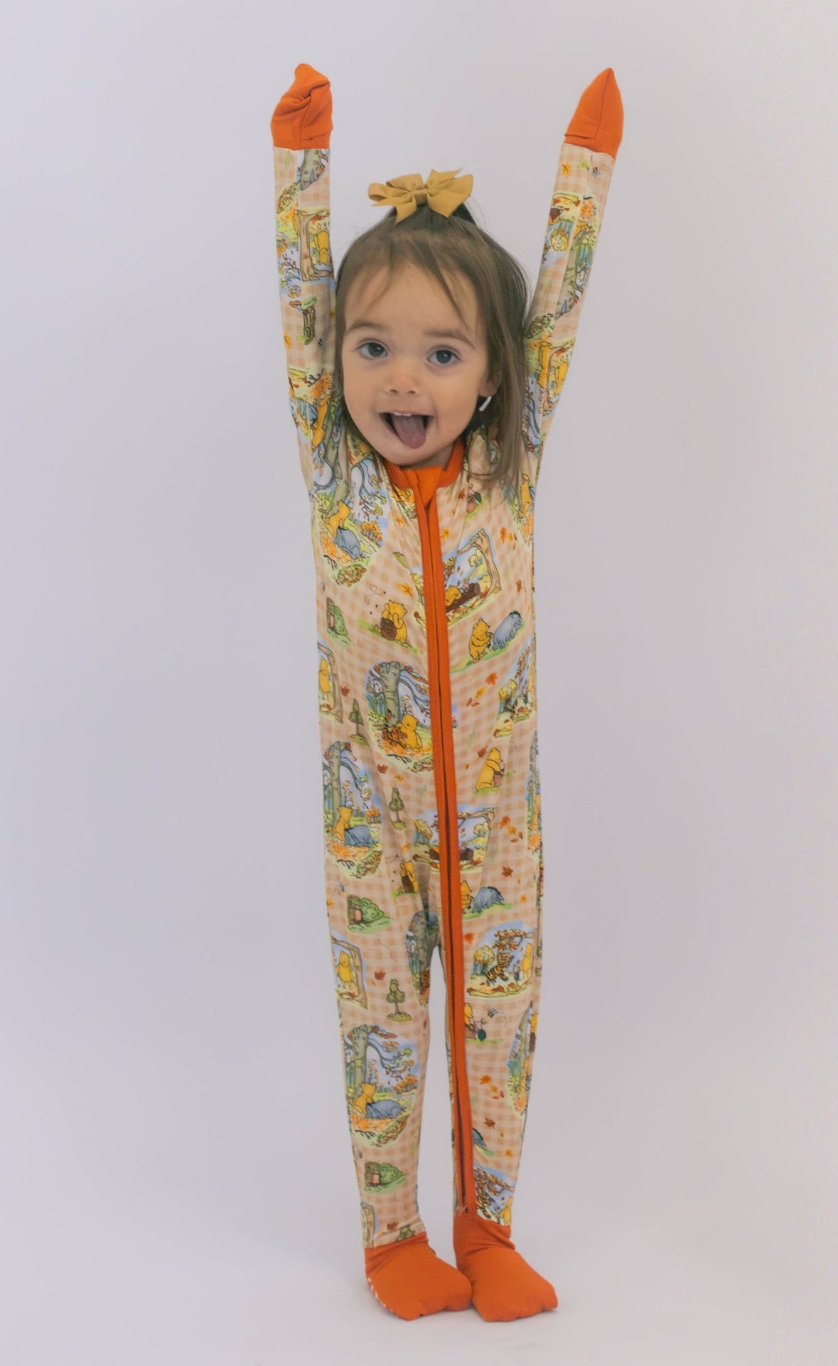 Fall Pooh Zippy